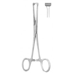 Steinmann Tendon Seizing Instruments BJ 16cm/6 1/4"